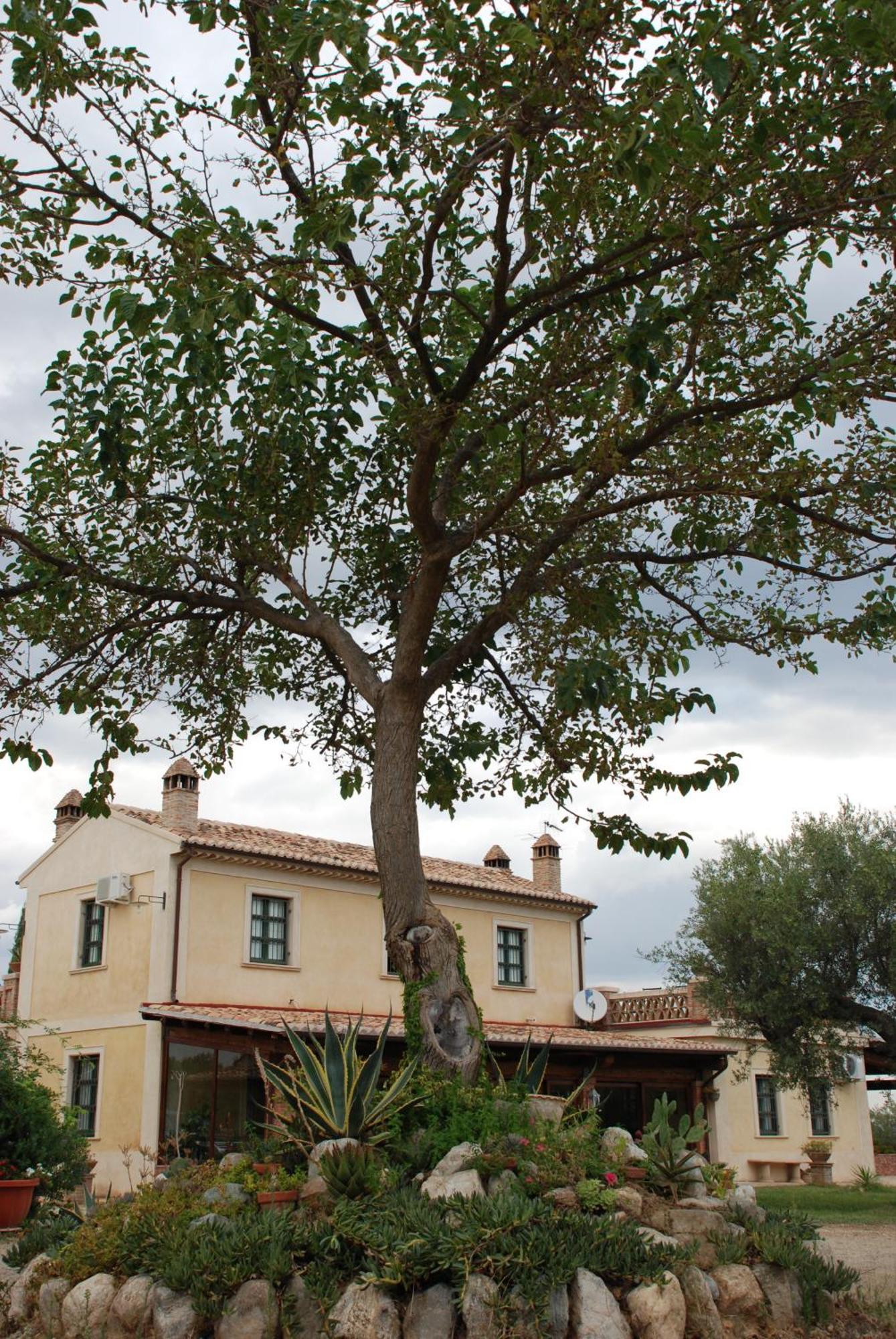 Agriturismo Casacchella Marina di Sibari Habitación foto